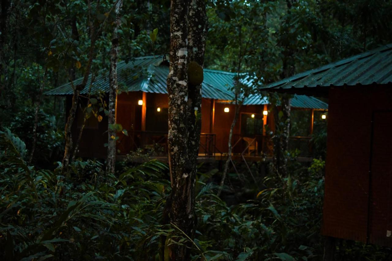 Monsoon Retreats Ecostay- Treehouse Thekkady Exteriör bild