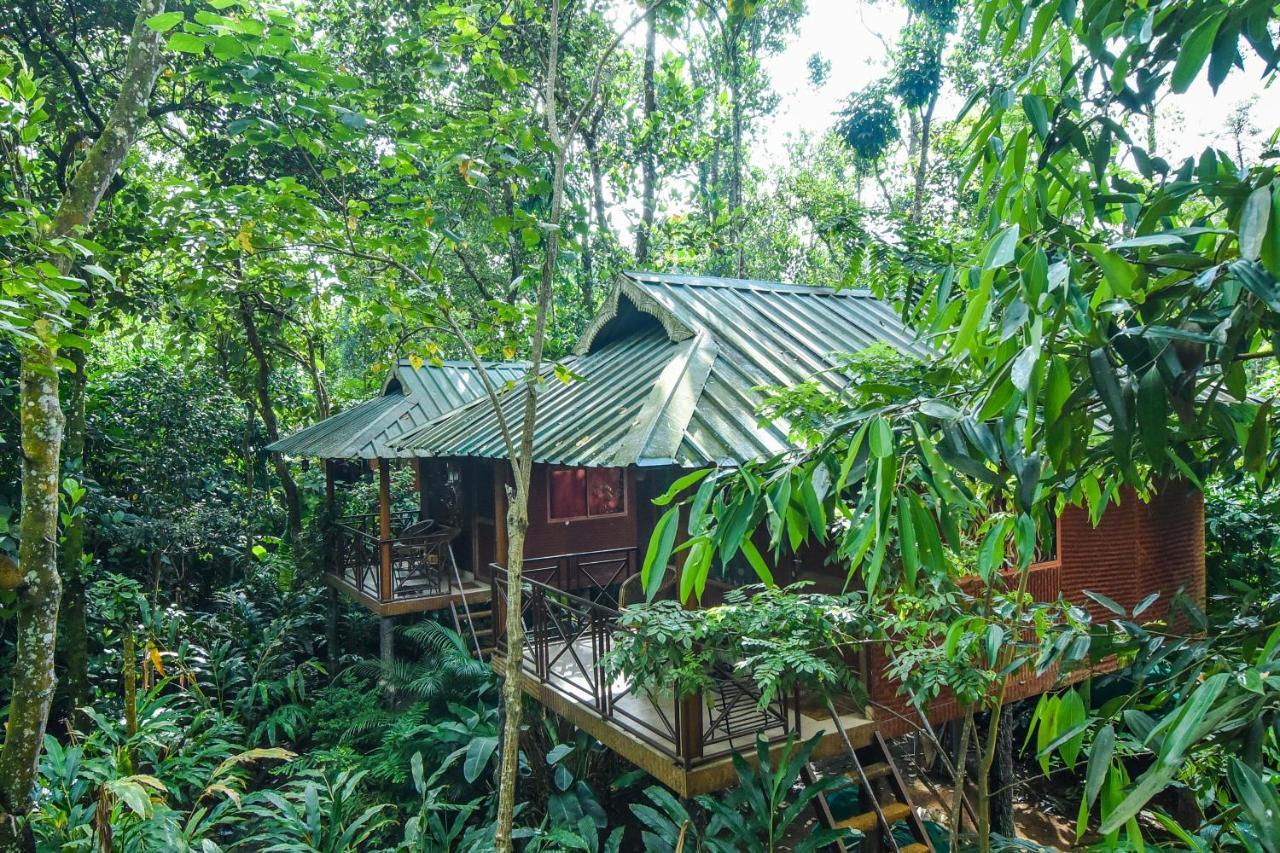 Monsoon Retreats Ecostay- Treehouse Thekkady Exteriör bild
