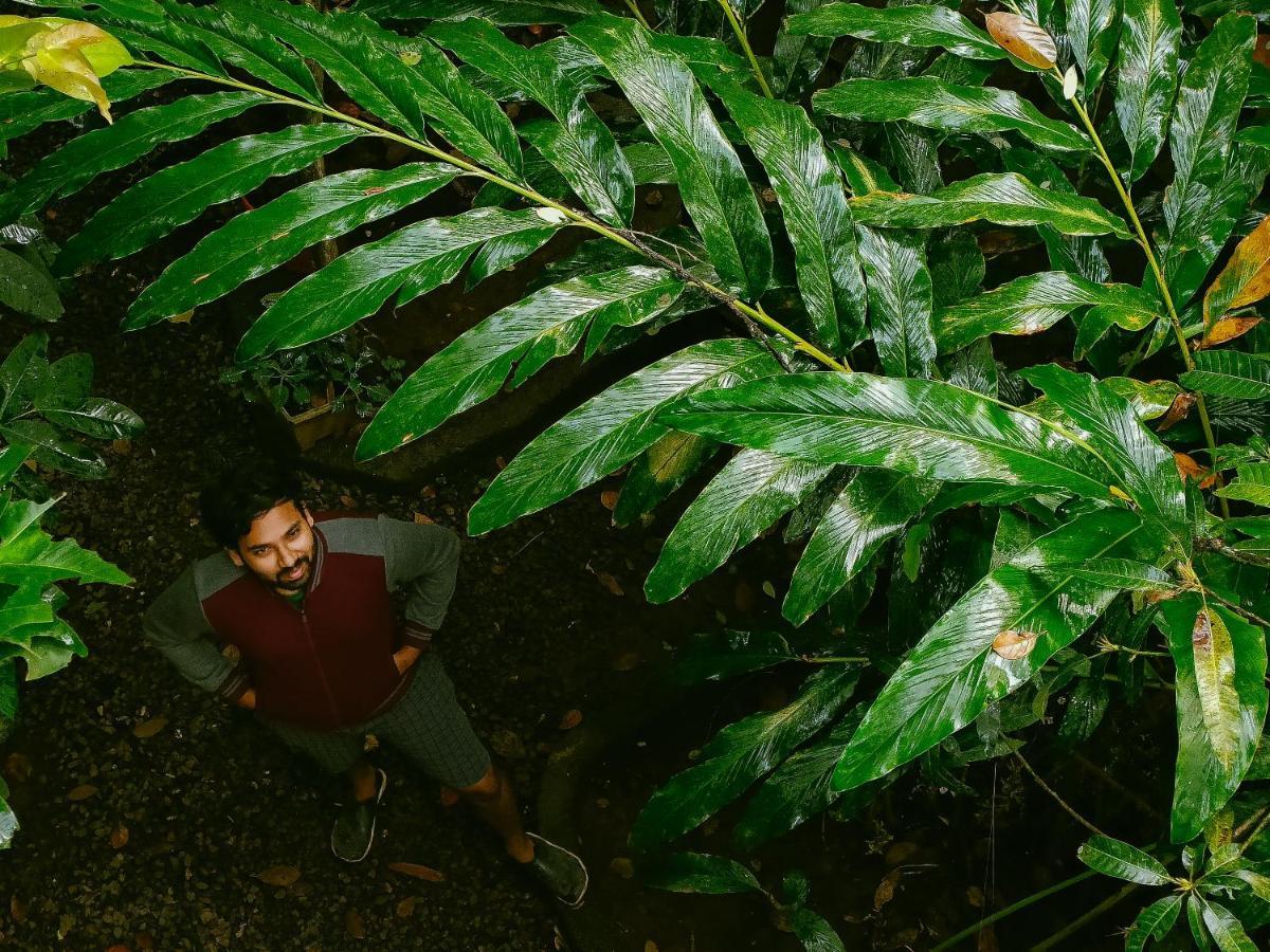 Monsoon Retreats Ecostay- Treehouse Thekkady Exteriör bild