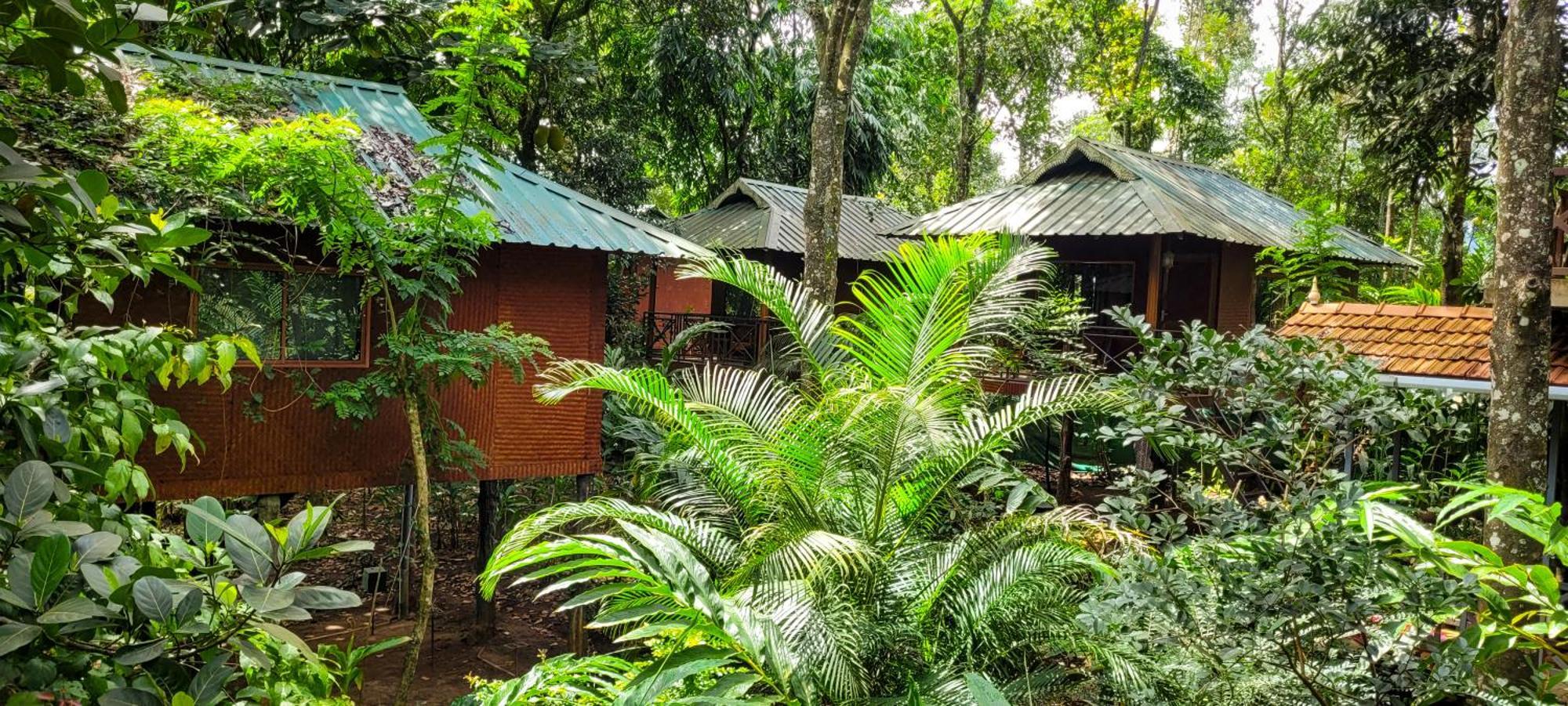Monsoon Retreats Ecostay- Treehouse Thekkady Exteriör bild