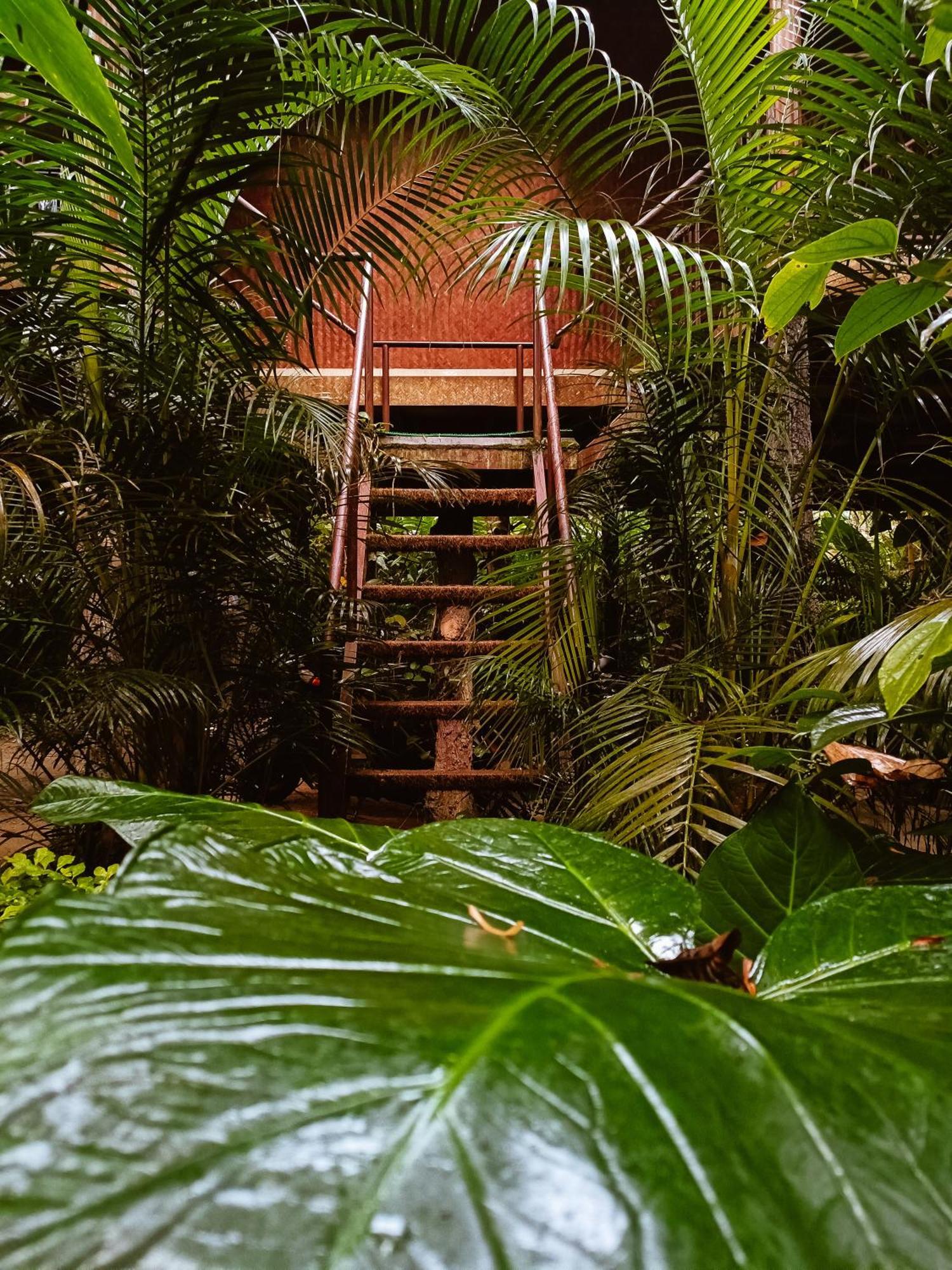 Monsoon Retreats Ecostay- Treehouse Thekkady Rum bild