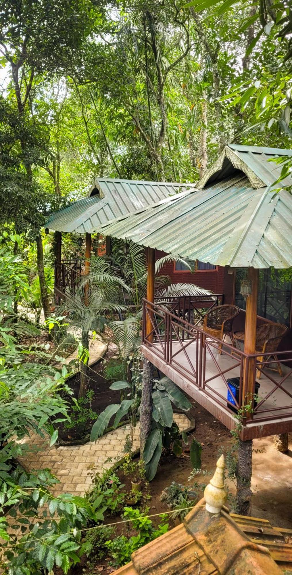 Monsoon Retreats Ecostay- Treehouse Thekkady Exteriör bild