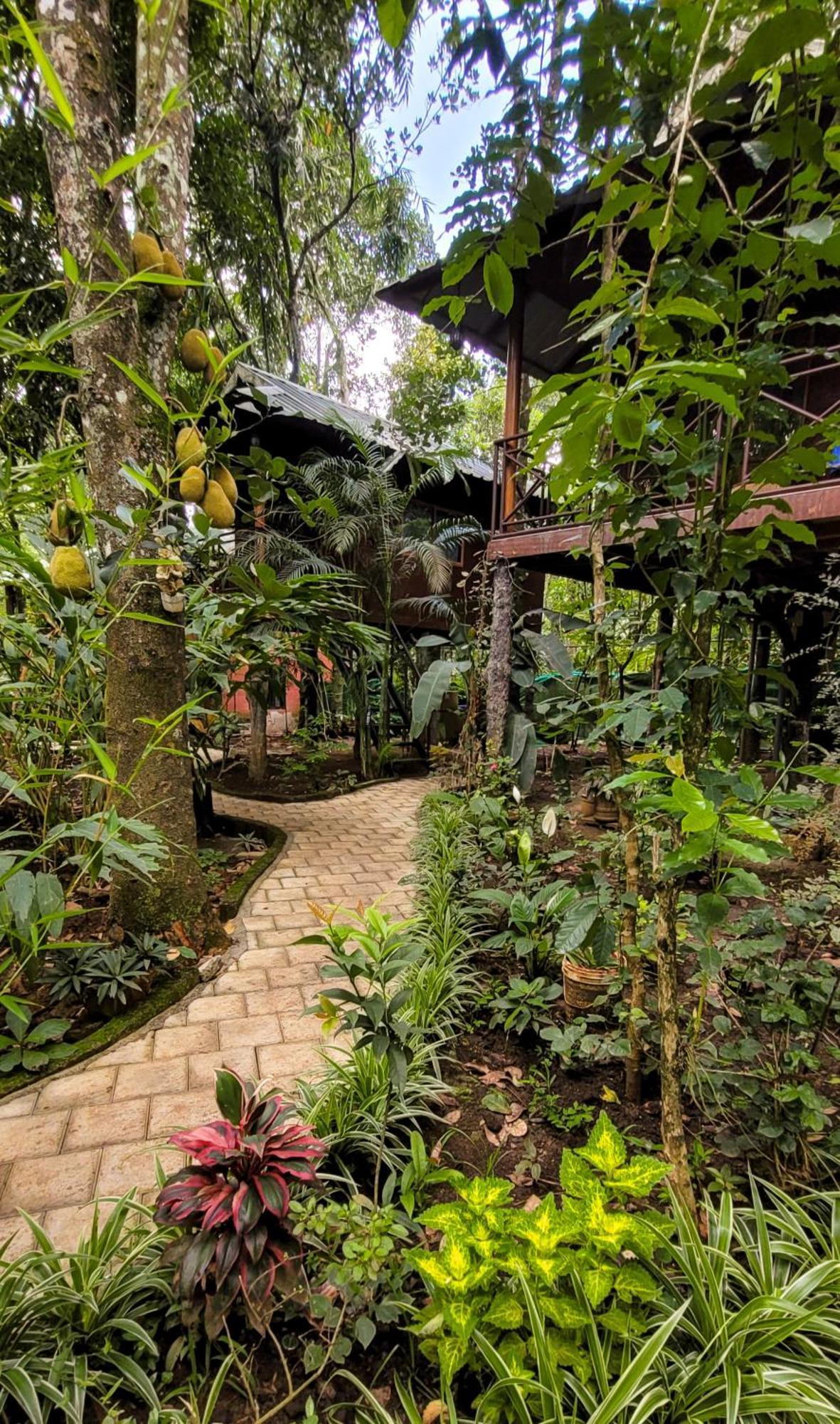 Monsoon Retreats Ecostay- Treehouse Thekkady Exteriör bild