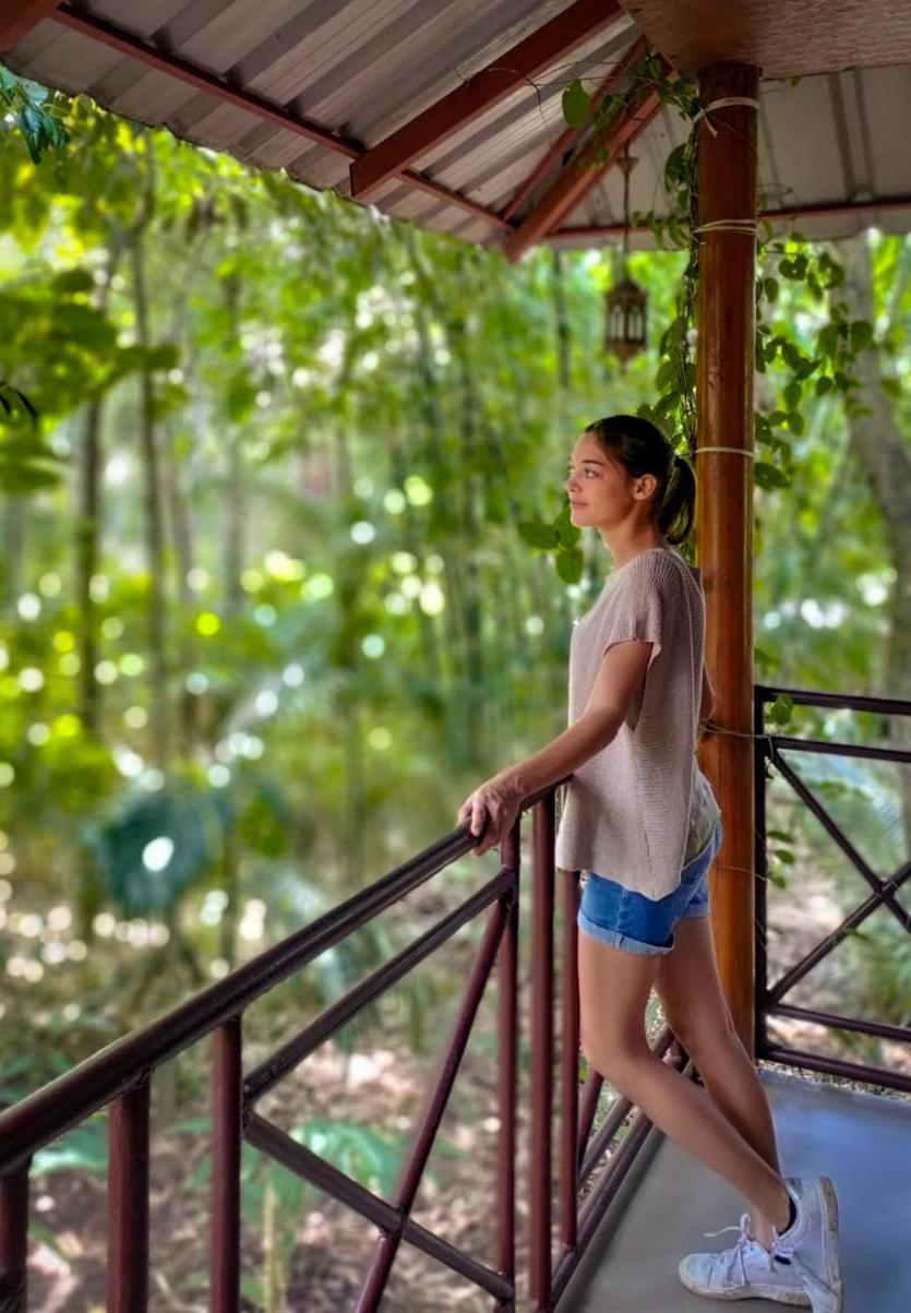 Monsoon Retreats Ecostay- Treehouse Thekkady Exteriör bild