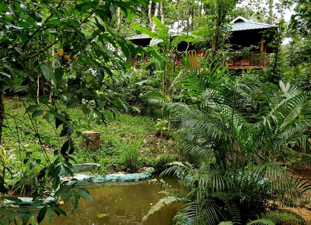 Monsoon Retreats Ecostay- Treehouse Thekkady Exteriör bild