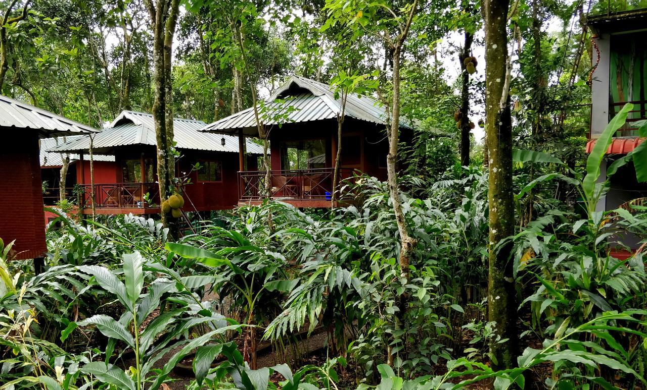 Monsoon Retreats Ecostay- Treehouse Thekkady Exteriör bild