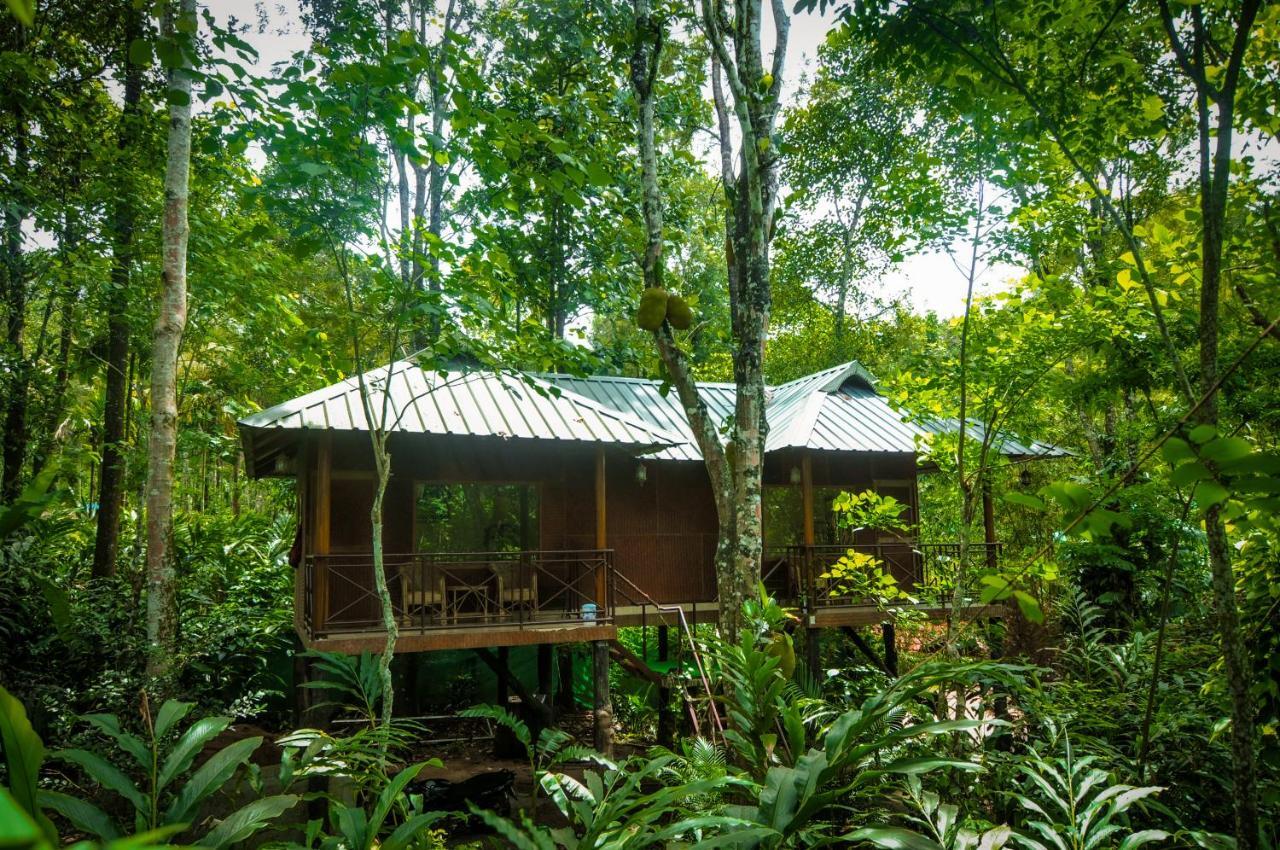 Monsoon Retreats Ecostay- Treehouse Thekkady Exteriör bild
