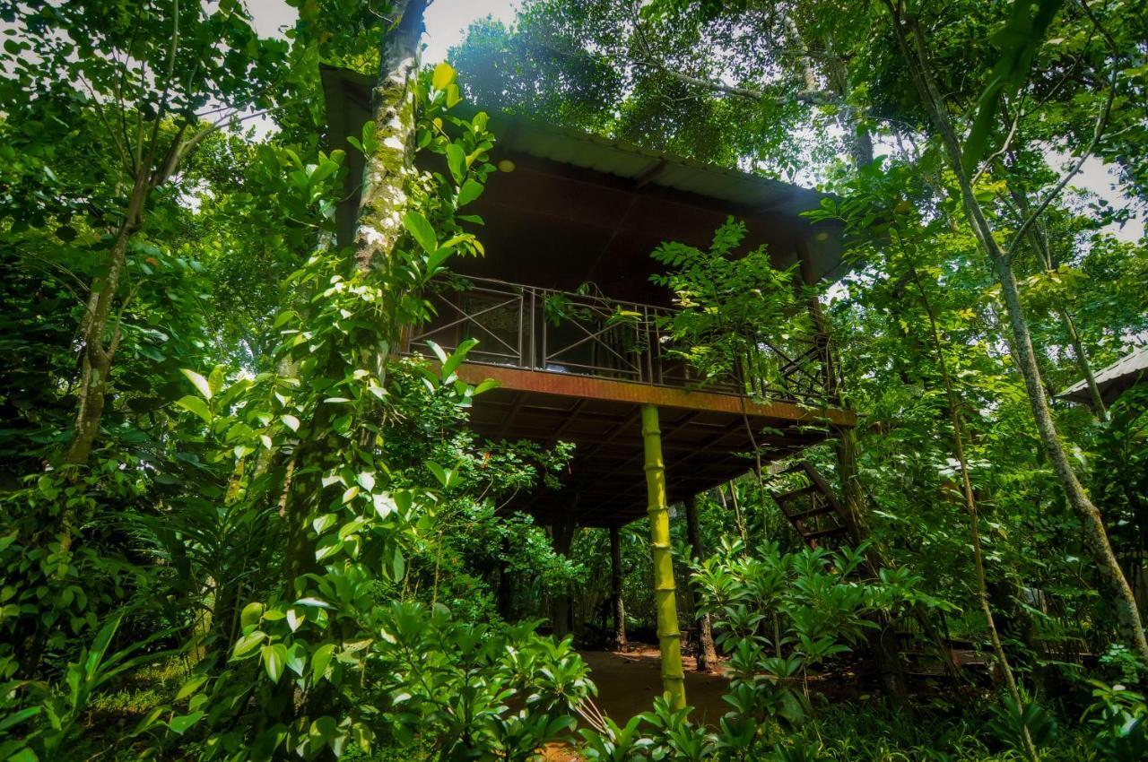 Monsoon Retreats Ecostay- Treehouse Thekkady Exteriör bild
