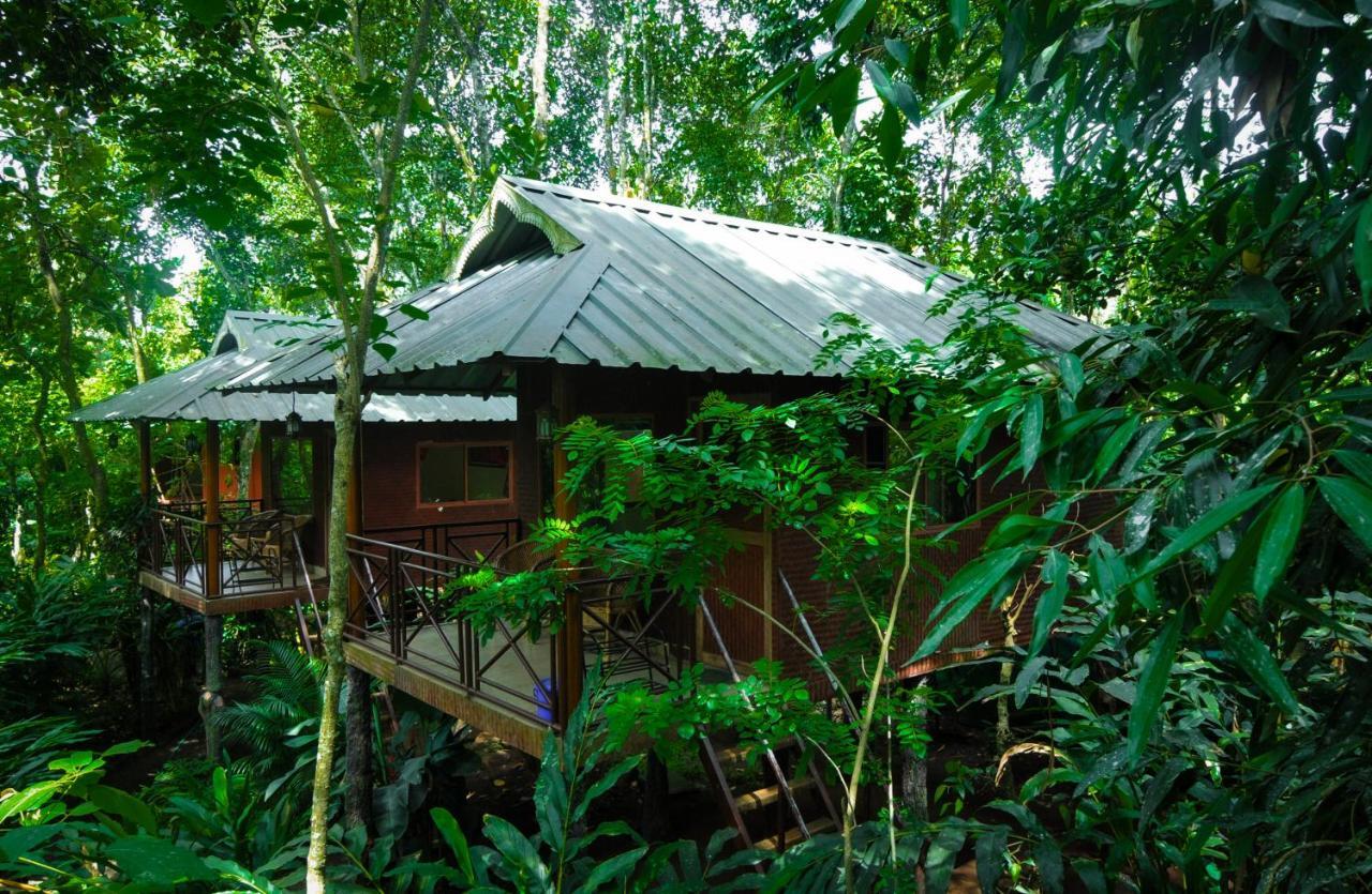 Monsoon Retreats Ecostay- Treehouse Thekkady Exteriör bild