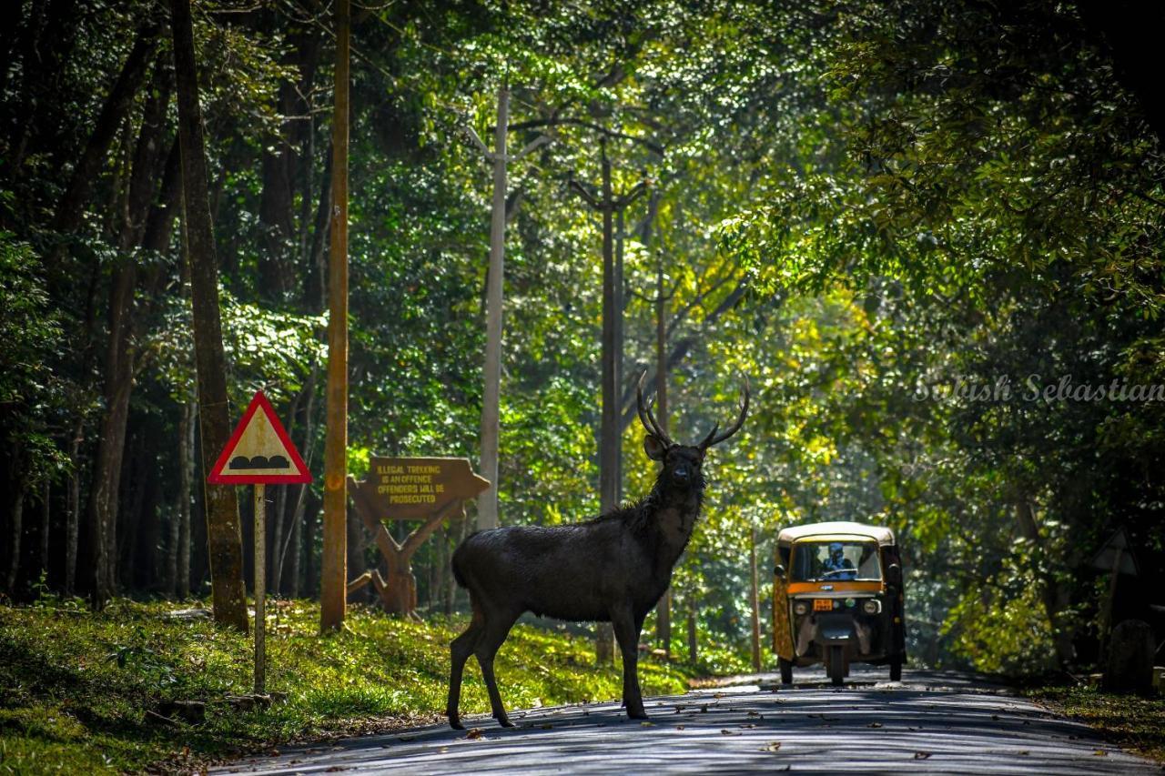 Monsoon Retreats Ecostay- Treehouse Thekkady Exteriör bild